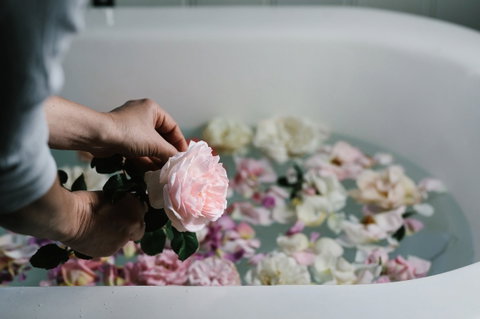 Acre Of Roses - Accommodation Rockhampton 5