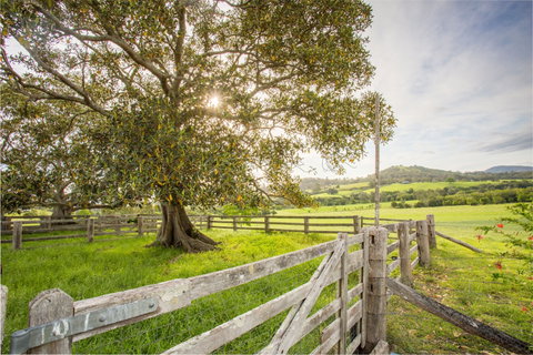 Bo-Warra Farmstay - Accommodation Rockhampton 2