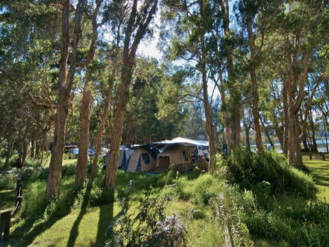 Neranie Campground And Picnic Area - Accommodation Rockhampton 0