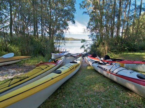 Neranie Campground And Picnic Area - Accommodation Rockhampton 1