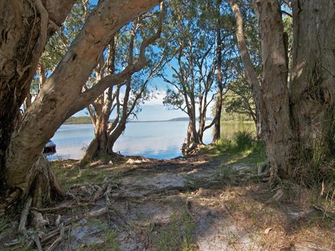 Neranie Campground And Picnic Area - Accommodation Rockhampton 2