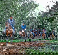 Susan River Homestead - Accommodation Rockhampton