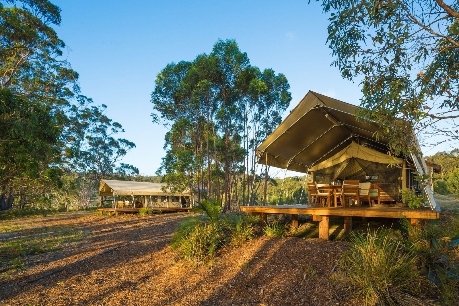 Reedy Swamp NSW Accommodation Rockhampton