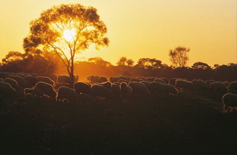 Clandulla Cottages & Farmstay - Accommodation Rockhampton 0