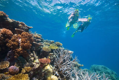 NRMA Cairns Holiday Park - Accommodation Rockhampton 0