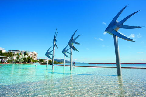 NRMA Cairns Holiday Park - Accommodation Rockhampton 1