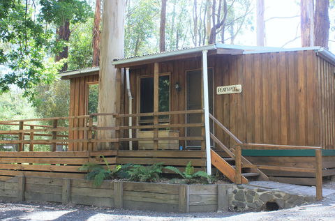 Tarra Valley Caravan Park - Accommodation Rockhampton 1