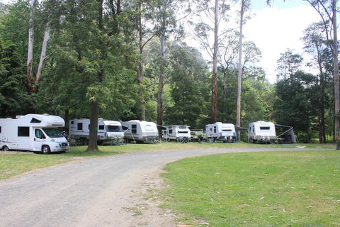 Tarra Valley Caravan Park - Accommodation Rockhampton 2