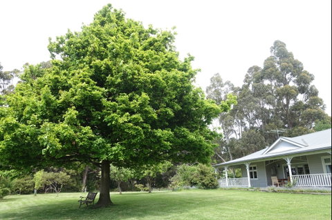Wavestation - Accommodation Rockhampton 0