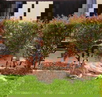 Alpha Canberra Hotel - Accommodation Rockhampton