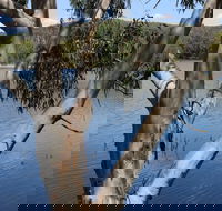 Bumberry Dam - Accommodation Rockhampton