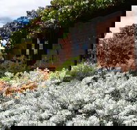 Kangaroos in the Top Paddock - Accommodation Rockhampton