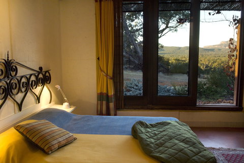 Kangaroos In The Top Paddock - Accommodation Rockhampton 1