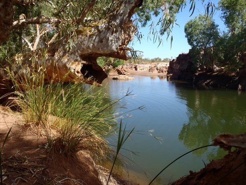 Peedamulla Campground And Cultural Tours - Accommodation Rockhampton 1