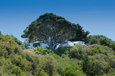 Sorrento Foreshore Camping - Accommodation Rockhampton 2