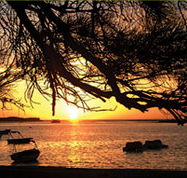 Pelican's Nest - Accommodation Rockhampton