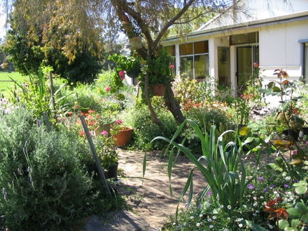 Warren Grange Farmstay And Bed & Breakfast - Accommodation Rockhampton 0