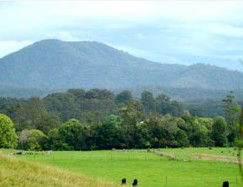 Bellingen Farmstay - Accommodation Rockhampton 4