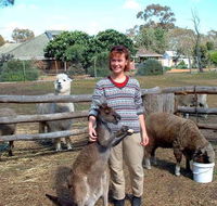 Kemminup Farm