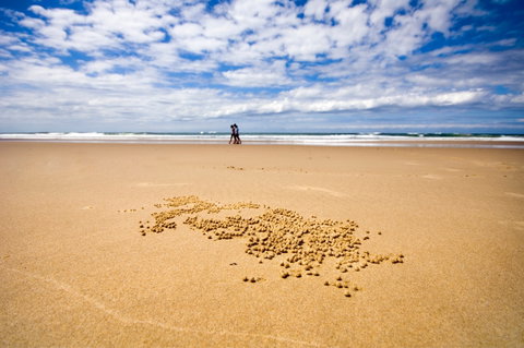 BIG4 Nambucca Beach Holiday Park - Accommodation Rockhampton 1