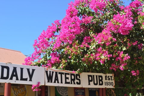 Daly Waters Historic Pub - Accommodation Rockhampton 0
