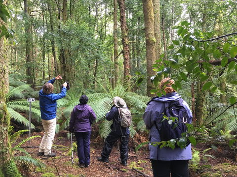 Forest Walks Lodge - Eco-Accommodation - Accommodation Rockhampton 1