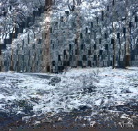 High Peaks Cottages - Accommodation Rockhampton