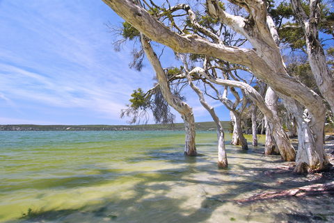 Shoal Cape Camp At Stokes National Park - Accommodation Rockhampton 0