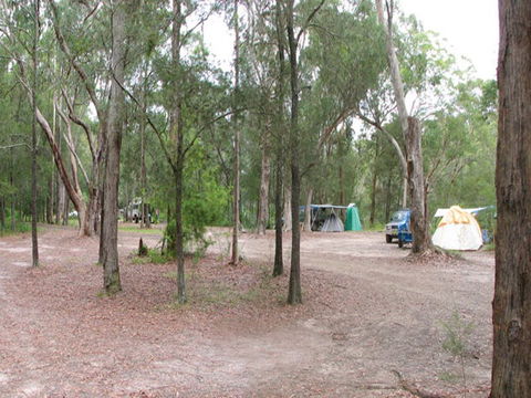Wallingat River Campground - Accommodation Rockhampton 1