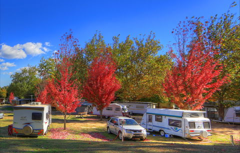 Beechworth Lake Sambell Caravan Park - Accommodation Rockhampton 0