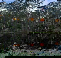 Billabong Retreat - Accommodation Rockhampton