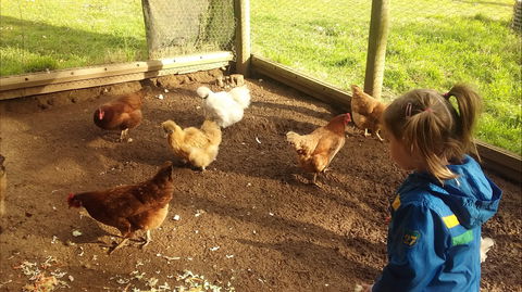 Emerald Park Holiday Farm - Accommodation Rockhampton 2