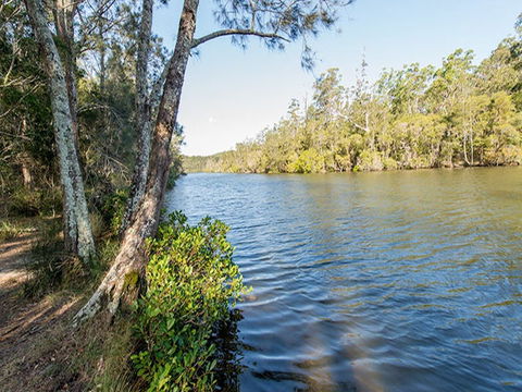 Ferny Creek Campground - Accommodation Rockhampton 0