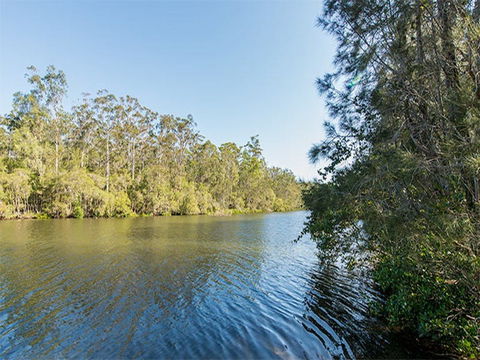 Ferny Creek Campground - Accommodation Rockhampton 1