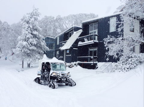 Kilimanjaro Alpine Apartments - Accommodation Rockhampton 2