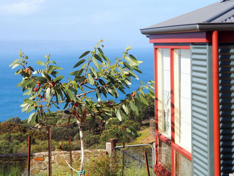 The Grass Tree Coastal Retreat Kangaroo Island - Accommodation Rockhampton 1