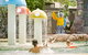 Ashmore Palms Holiday Village - thumb 0