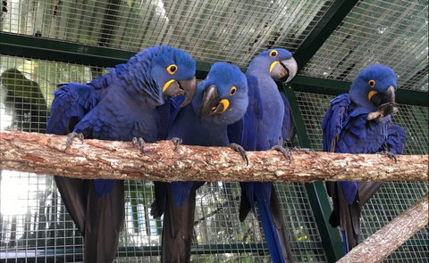 Ashmore Palms Holiday Village - Accommodation Rockhampton 2