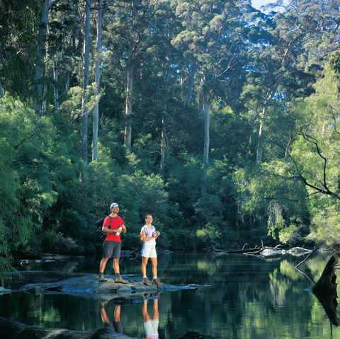 Drafty's Camp At Warren National Park - Accommodation Rockhampton 0