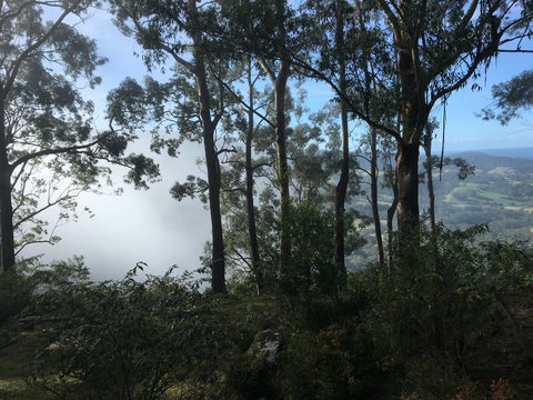 Escarpment - Accommodation Rockhampton 2