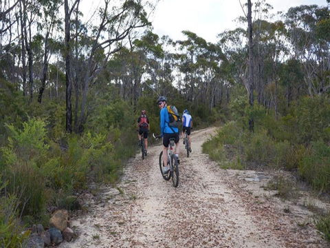 Ingar Campground - Accommodation Rockhampton 0