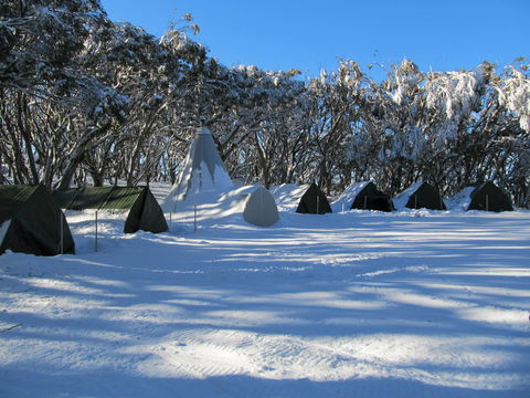 Mt Stirling Alpine Winter Camp - Accommodation Rockhampton 0
