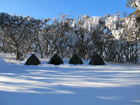 Mt Stirling Alpine Winter Camp - Accommodation Rockhampton 1