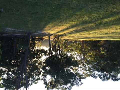 Possum's Hollow And Hooter's Hut - Accommodation Rockhampton 0