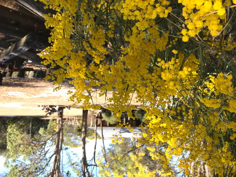 Possum's Hollow And Hooter's Hut - Accommodation Rockhampton 1