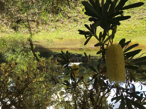 Possum's Hollow And Hooter's Hut - Accommodation Rockhampton 2