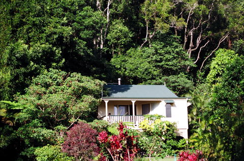 The Falls Montville - Accommodation Rockhampton 0