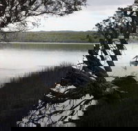 The Cove - Accommodation Rockhampton
