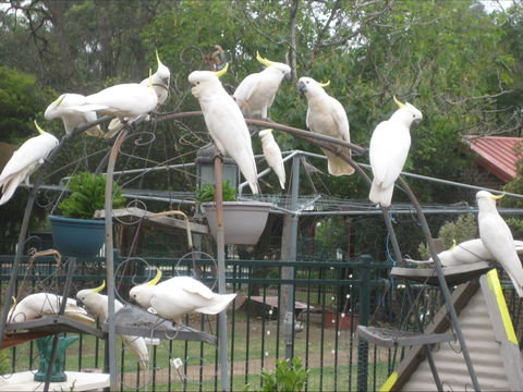 Winnamatta Guest House - Accommodation Rockhampton 0