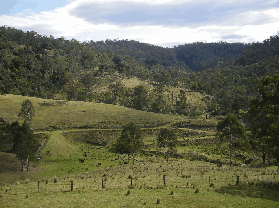 Yasuragi Cabins - Accommodation Rockhampton